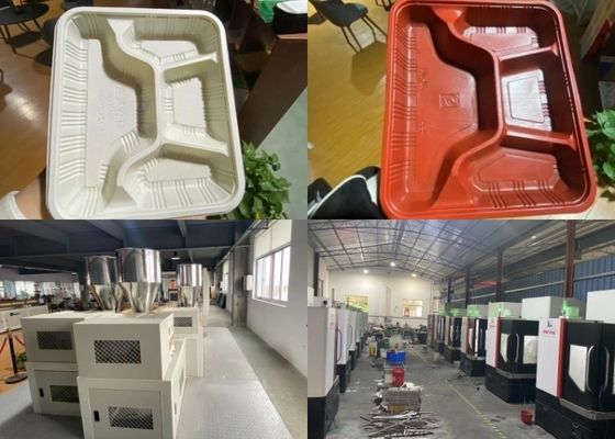 Pvc Blister Şekillendirme Makinesi Biyobozunur Sofra Üretim Hattı