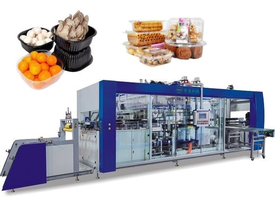 Dört İstasyonlu Blister Termoform Makinesi Otomatik