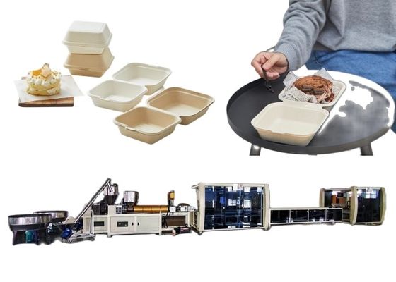 Blister Machinery Burger Box Line Tek Kullanımlık Biyobozunur Gıda Konteyner Makinesi