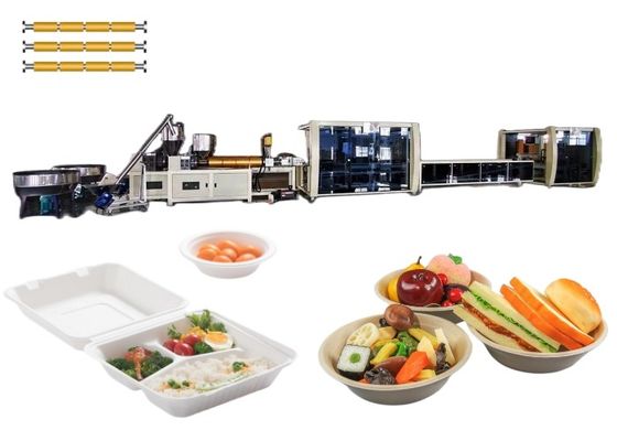 Üç Vidalı Blister Ekipmanı Tek Kullanımlık Plastik Konteyner Yapma Makinesi